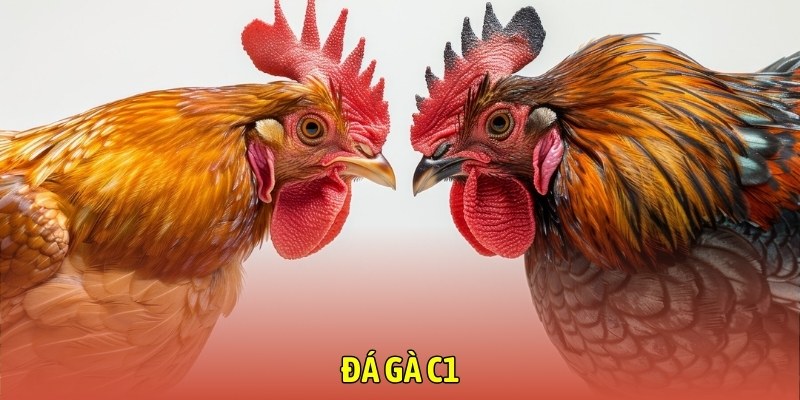 da-ga-c1