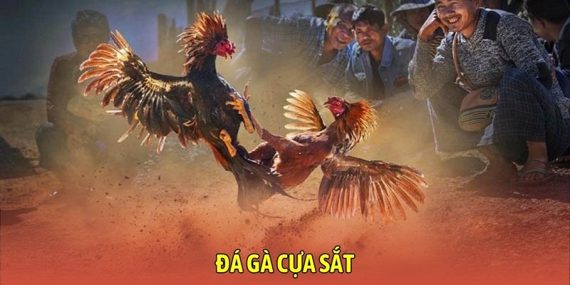 da-ga-cua-sat (4)