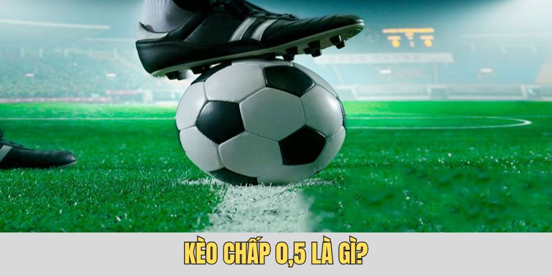 Giới thiệu về khái niệm kèo chấp 0,5