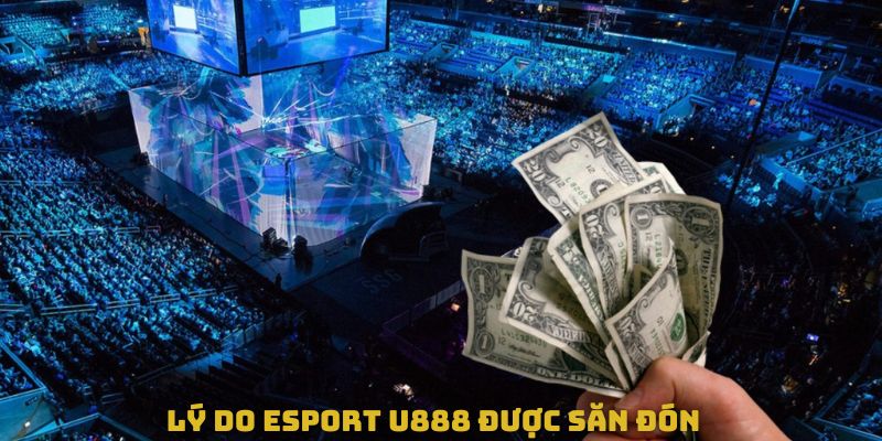 Lý do Esport U888 được săn đón